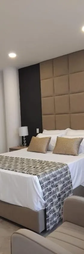 Hotel 45 Park，位于萨瓦内塔的酒店