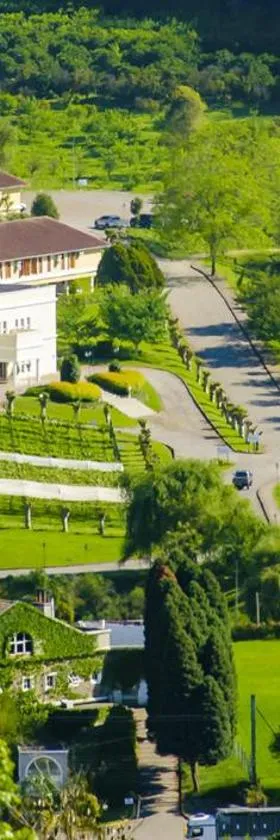 Hotel Villa Michelon，位于本图贡萨尔维斯的酒店
