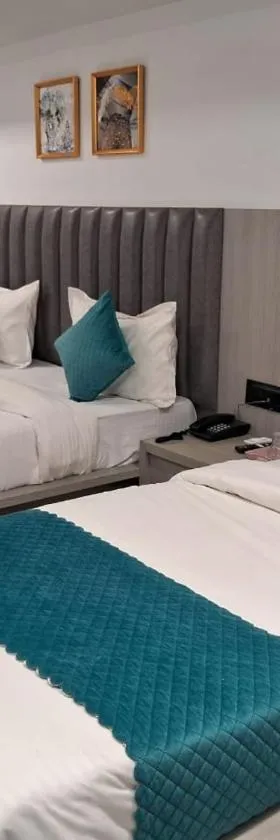 Hotel Metro Inn，位于艾哈迈达巴德的酒店
