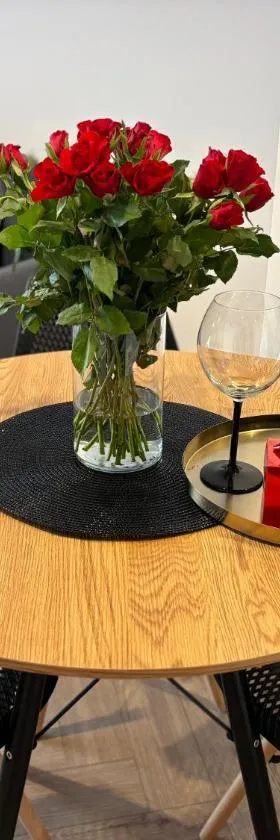 Ami Luxury Residence VI CENTRUM - możliwość REJSU ŁODZIĄ，位于伊拉华的酒店