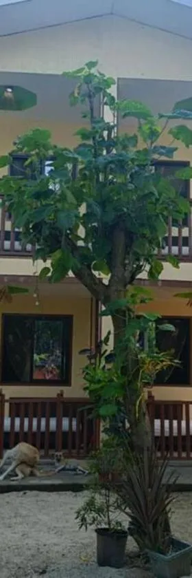 Kiarra Krisxia Lodge，位于爱妮岛的酒店