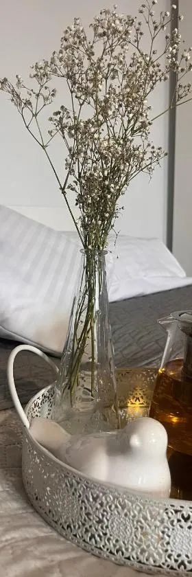 Apartament Na Starówce VII，位于普什奇纳的酒店