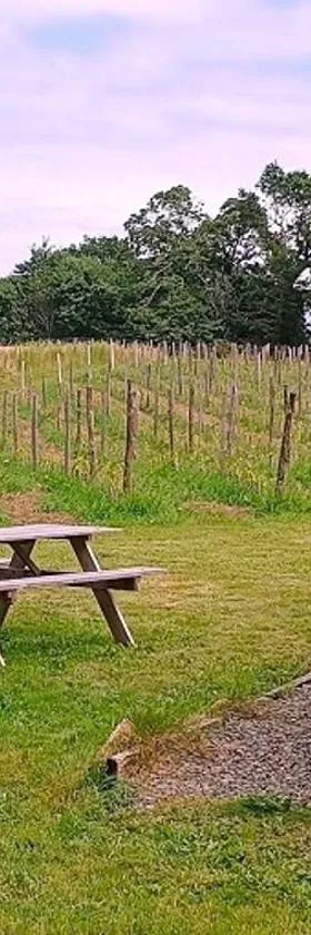 Tonneau bulle insolite, vue sur vignoble，位于Pouldergat的酒店