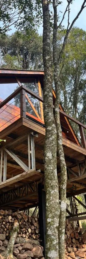 Chalé Araucária，位于加里波第的酒店
