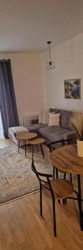 Ribica Apartments，位于伊利扎的酒店