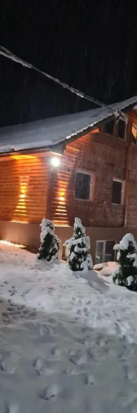 Šumska vila Gašić，位于科帕奥尼克的酒店