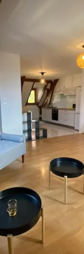 Gîte de la SANGE，位于卢瓦尔河畔叙利的酒店
