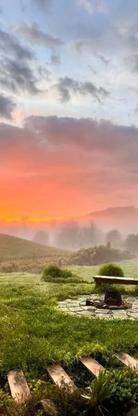 Kohanga Farmstead，位于Te Kohanga的酒店