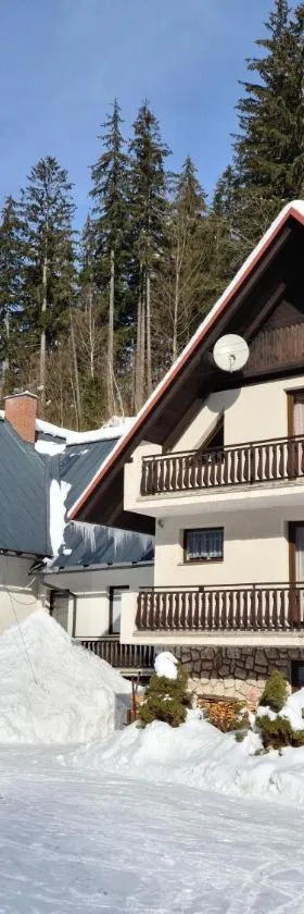Penzion Lukeš，位于维特科维采的酒店