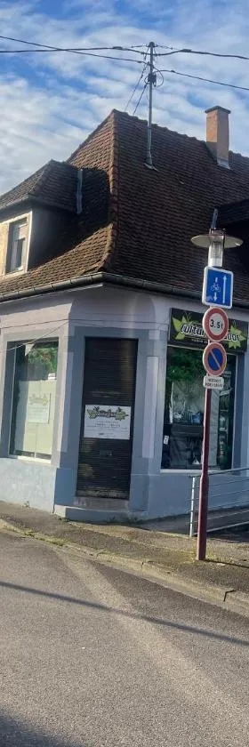 Appartement 2 pièces illkirch，位于伊尔基希-格拉芬斯塔登的酒店
