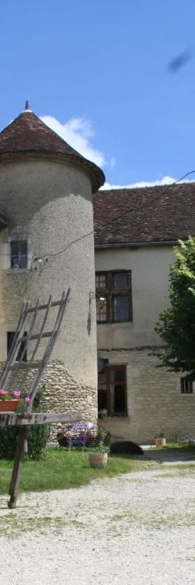 Prieuré de Fouchères，位于Fouchères的酒店