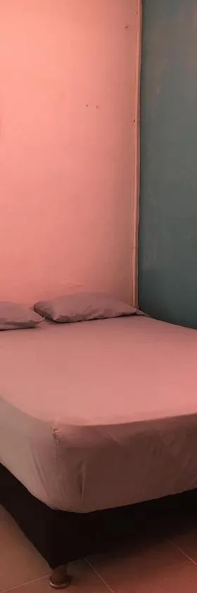 Hotel Pelman，位于帕尔米拉的酒店