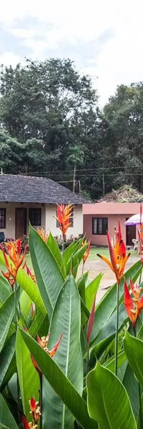 Madhu Giri Stay，位于奇克马格尔的酒店