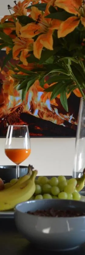 Bella villa - 4 personnes，位于汉西斯的酒店