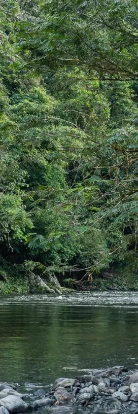 Casa Aves, Refugio Natural Jacaranda，位于科科尔纳的酒店