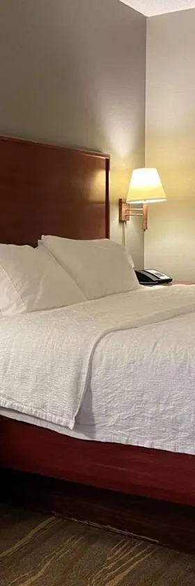 SouthShore Hotel on Lake Bemidji, Trademark Coll by Wyndham，位于伯米吉的酒店
