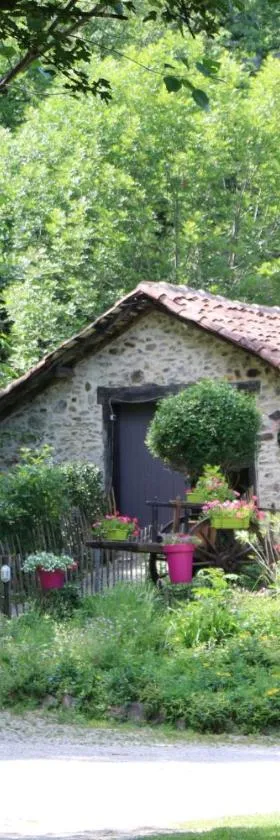 Camping Moulin De Chaules，位于Saint-Constant的酒店