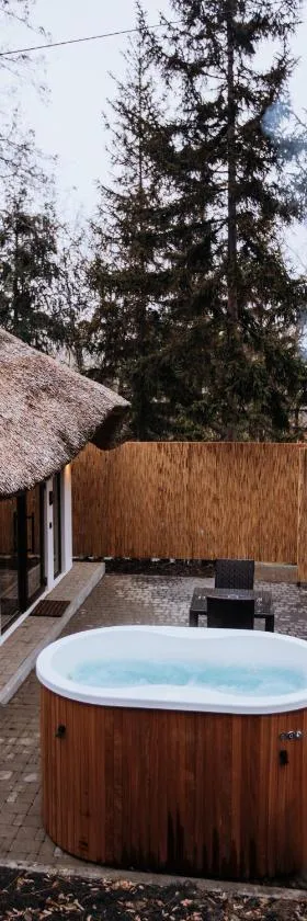 Tree House Relax Park，位于基希讷乌的酒店