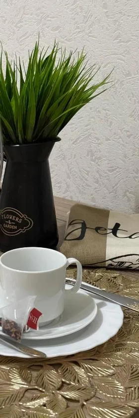Новая 1 комнатная квартира，位于乌拉尔斯克的酒店