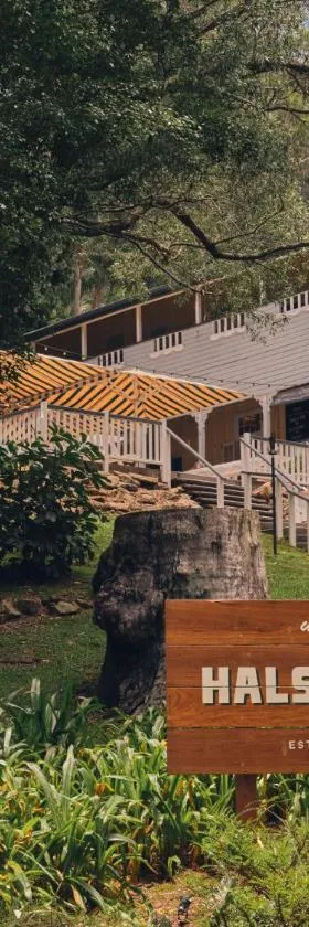 Halse Lodge Noosa Heads，位于努萨角的酒店