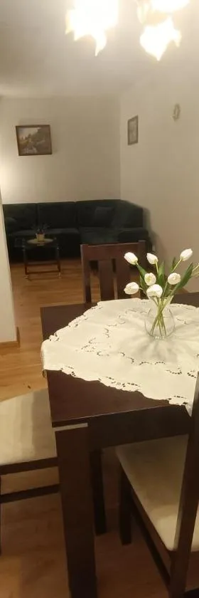 Apartament przy Długiej，位于Karsin的酒店