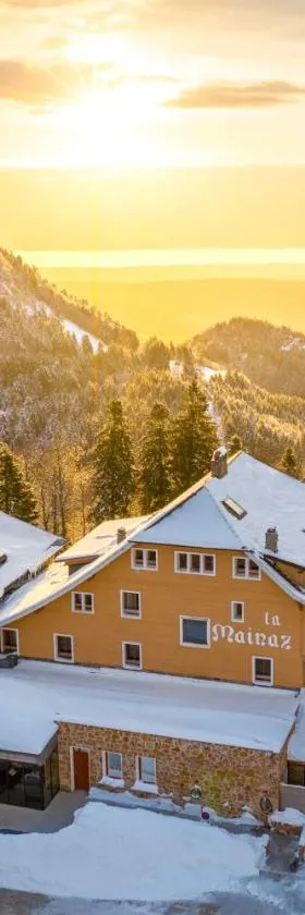 La Mainaz Hôtel Restaurant Genève - Gex - Mijoux，位于热克斯的酒店