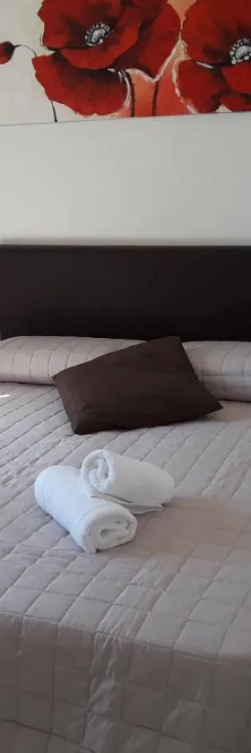 Salina Room with private balcony，位于纳克萨的酒店
