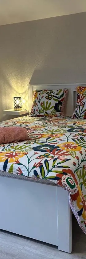 Appartement au Domaine du Cygne，位于Barst-Marienthal的酒店