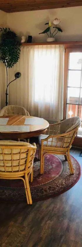 Apartmant Mary，位于Mühlebach的酒店