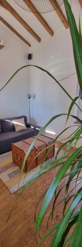 Un appartement charmant à deux pas de Paris !，位于Le Pré-Saint-Gervais的酒店