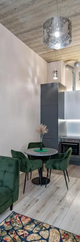 Shanti barracks apartment #2 by Polo Apartments，位于考纳斯的酒店