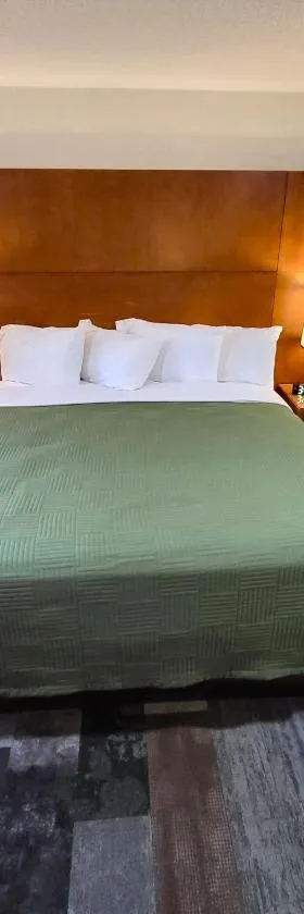 谢尔顿旅馆，位于雪尔顿的酒店
