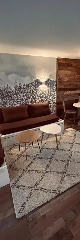 Avoriaz Le N205，位于阿沃里亚兹的酒店