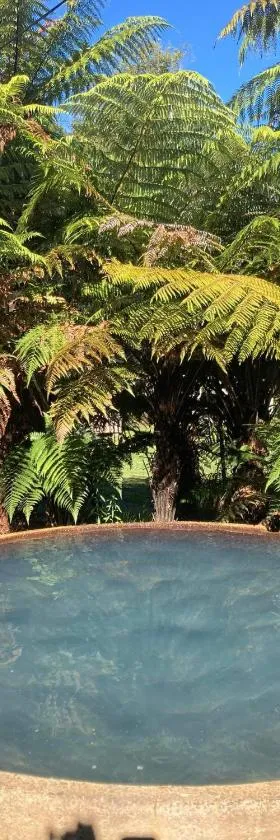 Cottage and geothermal pool by lake Taupo，位于图朗伊的酒店