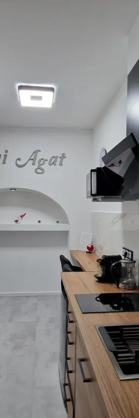 Mini Agat，位于希隆斯克地区勒武韦克的酒店