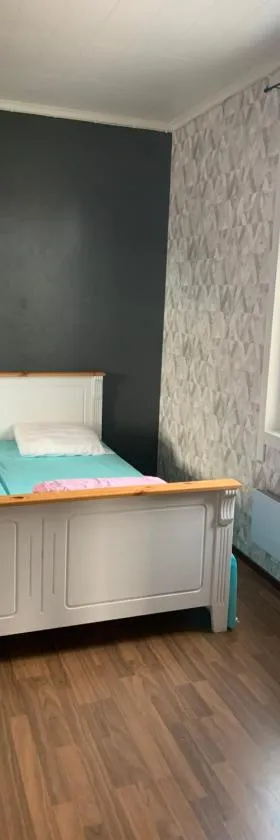 Roiha，位于Parkano的酒店