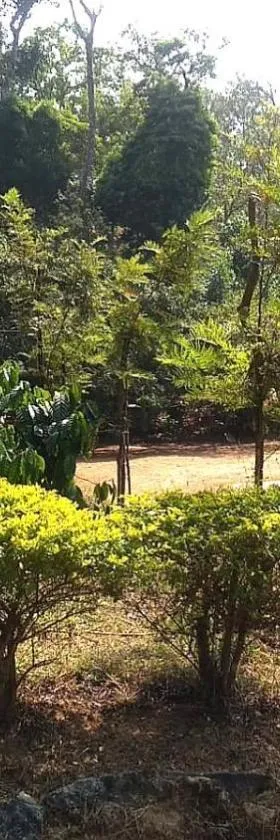 Malnad Bliss，位于Sringeri的酒店