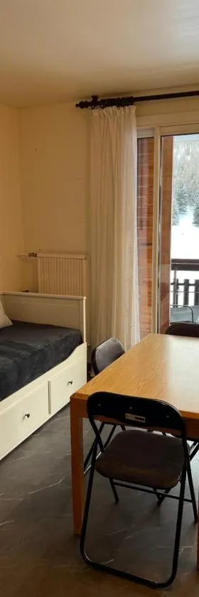 Studio aux pieds des pistes et des commerces，位于德沃吕伊的酒店