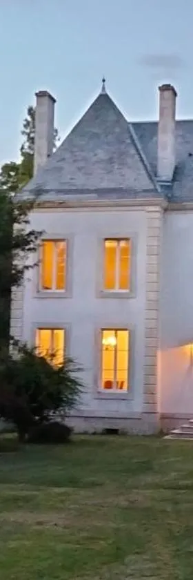 B&B Chateau La Séchère，位于Usson-du-Poitou的酒店
