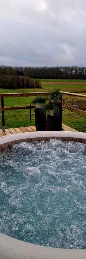 Tiny housse serenity avec jacuzzi，位于Tinlot的酒店