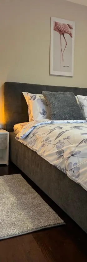 Apartman JV，位于阿然德洛维克的酒店