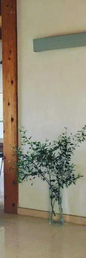 El Refugio de las marismas，位于El Soto的酒店