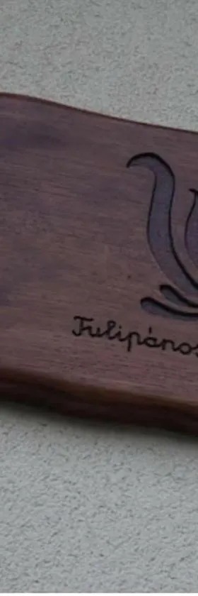 Tulipános Vendégház，位于Szőlősardó的酒店