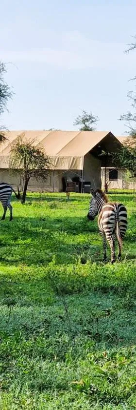 Africa Safari South Serengeti Ndutu Camping，位于Sinoni的酒店