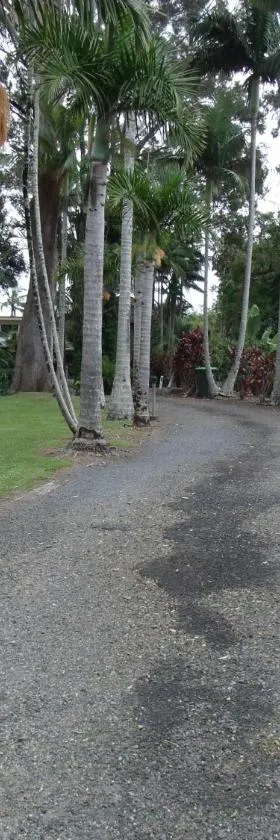 翡翠热带棕榈住宿加早餐旅馆，位于翡翠海滩的酒店