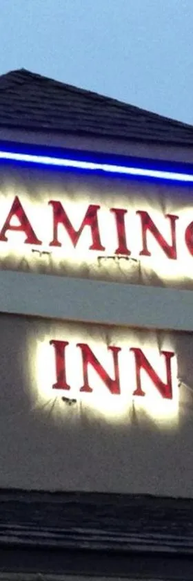 Flamingo Inn，位于埃尔克城的酒店