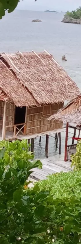 Keruwo Homestay，位于Waisai的酒店