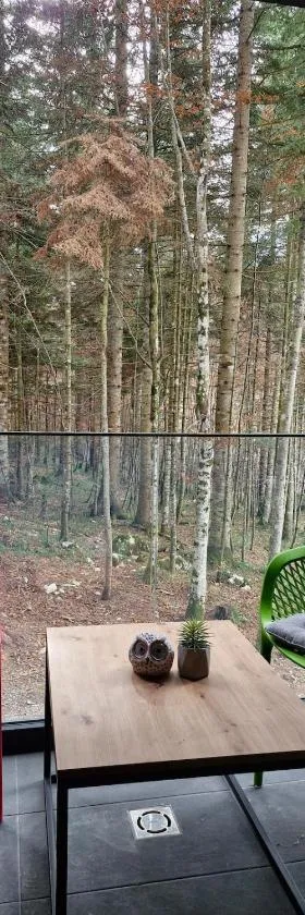 Green peace-Bjelašnica，位于Sarajevo的酒店