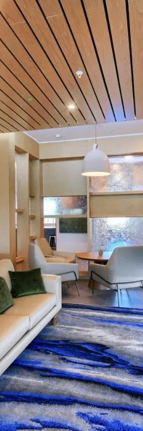 Fairfield Inn & Suites by Marriott Dallas Cedar Hill，位于雪松山的酒店