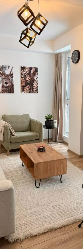 MM Mavrovo Apartments，位于马夫罗沃的酒店